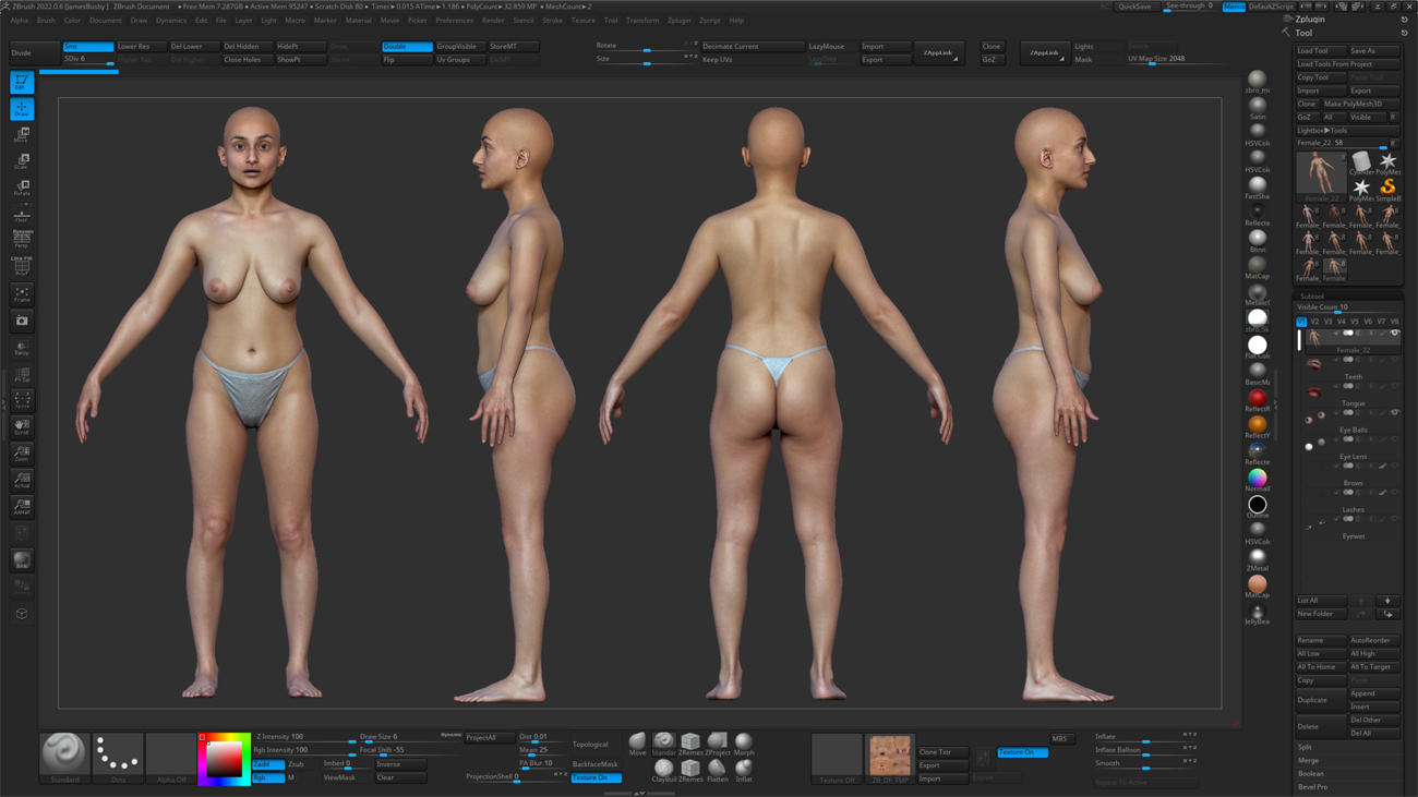 ZBrush ZTool render of a female 3D body scan at high subdivision level showing sculpt-ready mesh detail